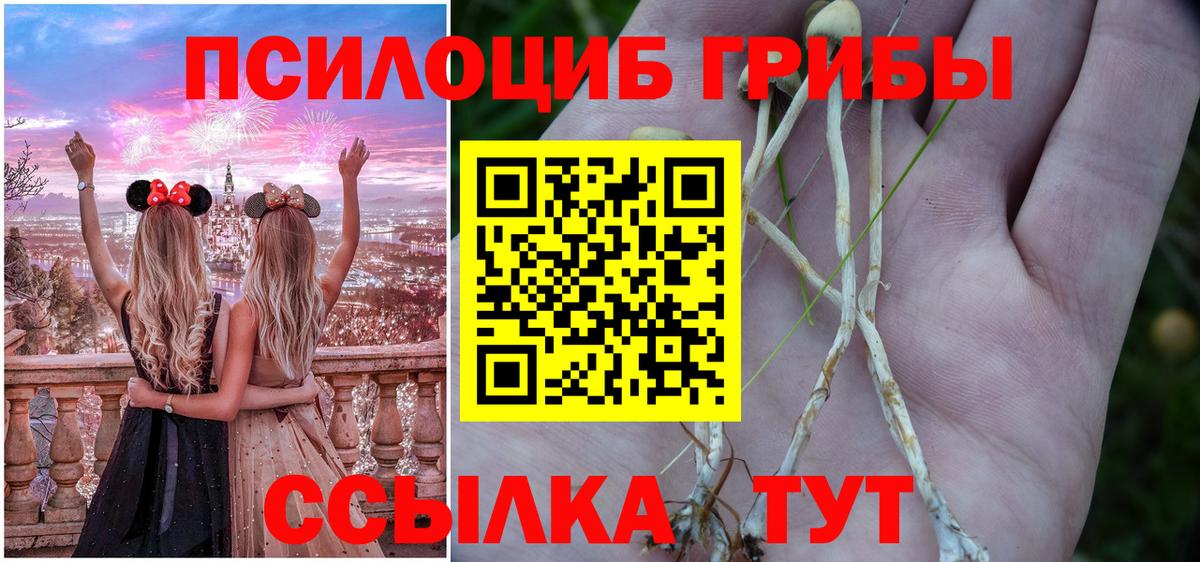 Галлюциногенные грибы Magic Shrooms Дмитров