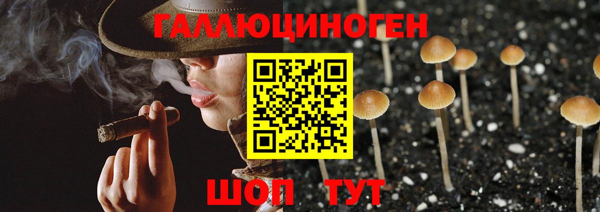 Галлюциногенные грибы Psilocybine cubensis  Вход с VPN  Псилоцибиновые грибы Cubensis  Дмитров 